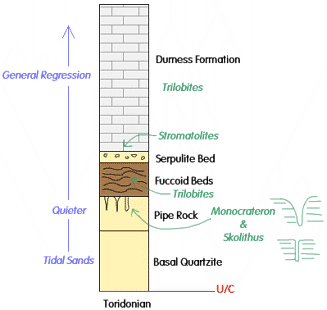 Cambrian Environment