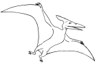 Pteranodon