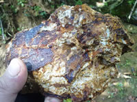 Rock Sample Rock Sample