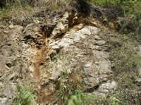 Rock Sample Rock Sample