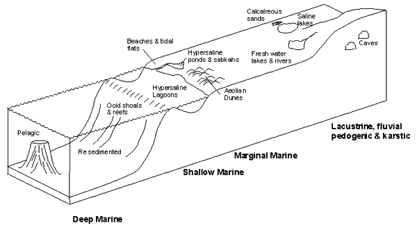Carbonate Environments