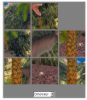 Slider Puzzle
