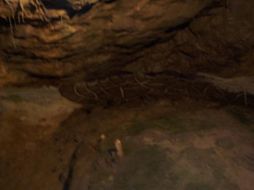 Polygonal Mud Cracks 1