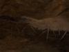 Polygonal Mud Cracks 2