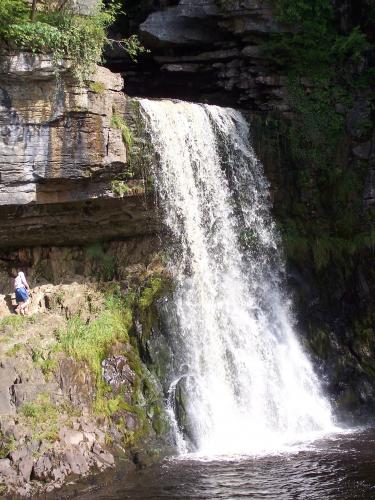 Thornton Force 1