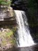 Thornton Force 1
