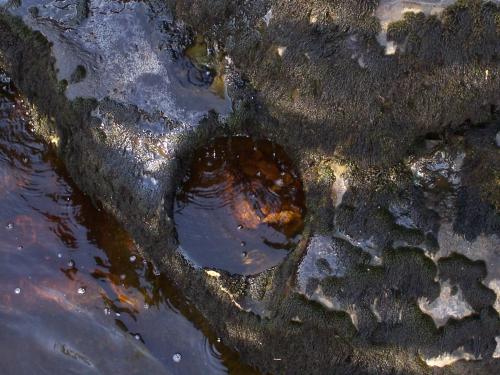 Pot Hole in Twiss River Bed.