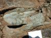 Folded Amphibolite