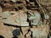 Amphibolite