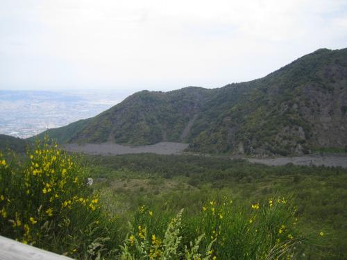More recent lava flow on flanks of Vesuvius