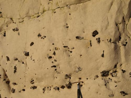 Nodular flint bands in Cretateous Upper chalk