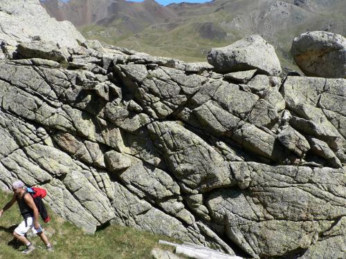 Jointing in granodiorite