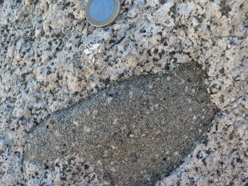 Porphyry in Granodiorite