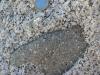 Porphyry in Granodiorite