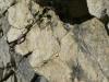 Fault Plane Striation
