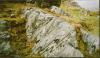 Connemara Marble