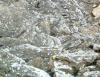 Pahoehoe Lava
