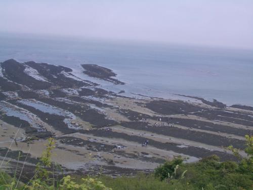 Faulting in Robin Hood's Bay