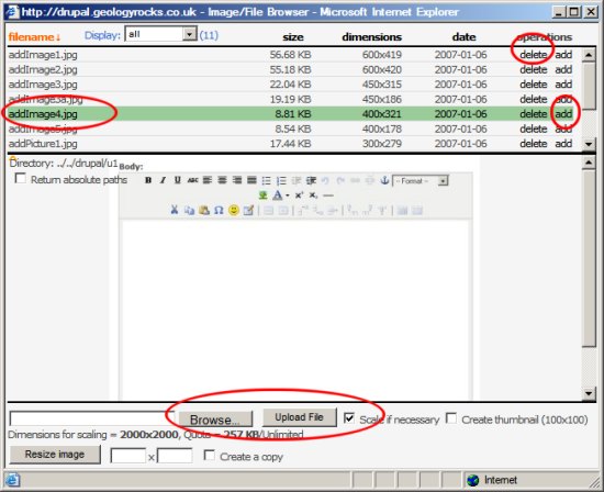File browser File browser