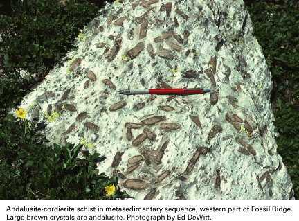 Andalusite schist Andalusite schist