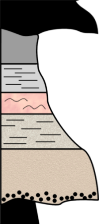 a typical bouma sequence