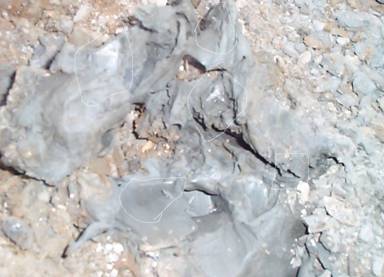 More gypsum crystals More gypsum crystals